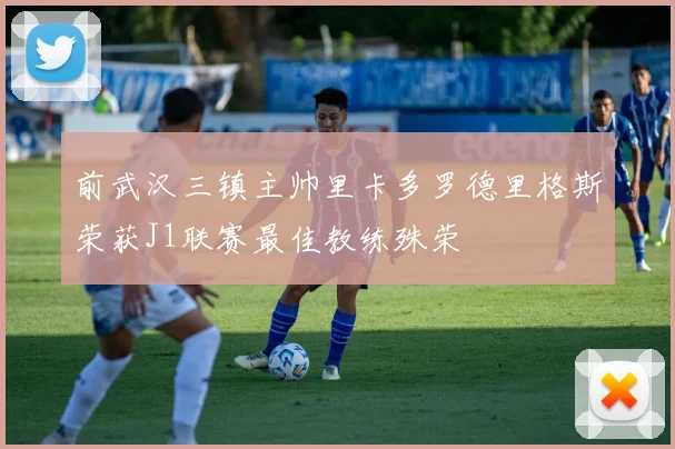 前武汉三镇主帅里卡多罗德里格斯荣获J1联赛最佳教练殊荣