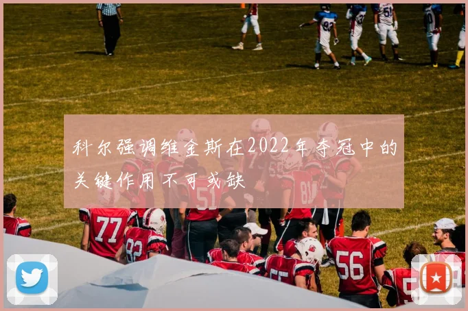 科尔强调维金斯在2022年夺冠中的关键作用不可或缺