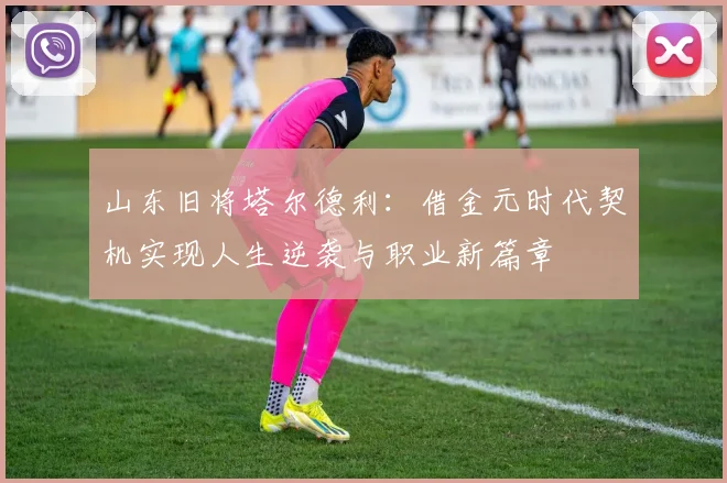 山东旧将塔尔德利：借金元时代契机实现人生逆袭与职业新篇章