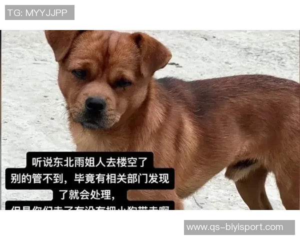 空位得投进KD吸引包夹助力雨姐成为新答案的第五张牌 空位得投进KD吸引包夹助力雨姐成为新答案的第五张牌